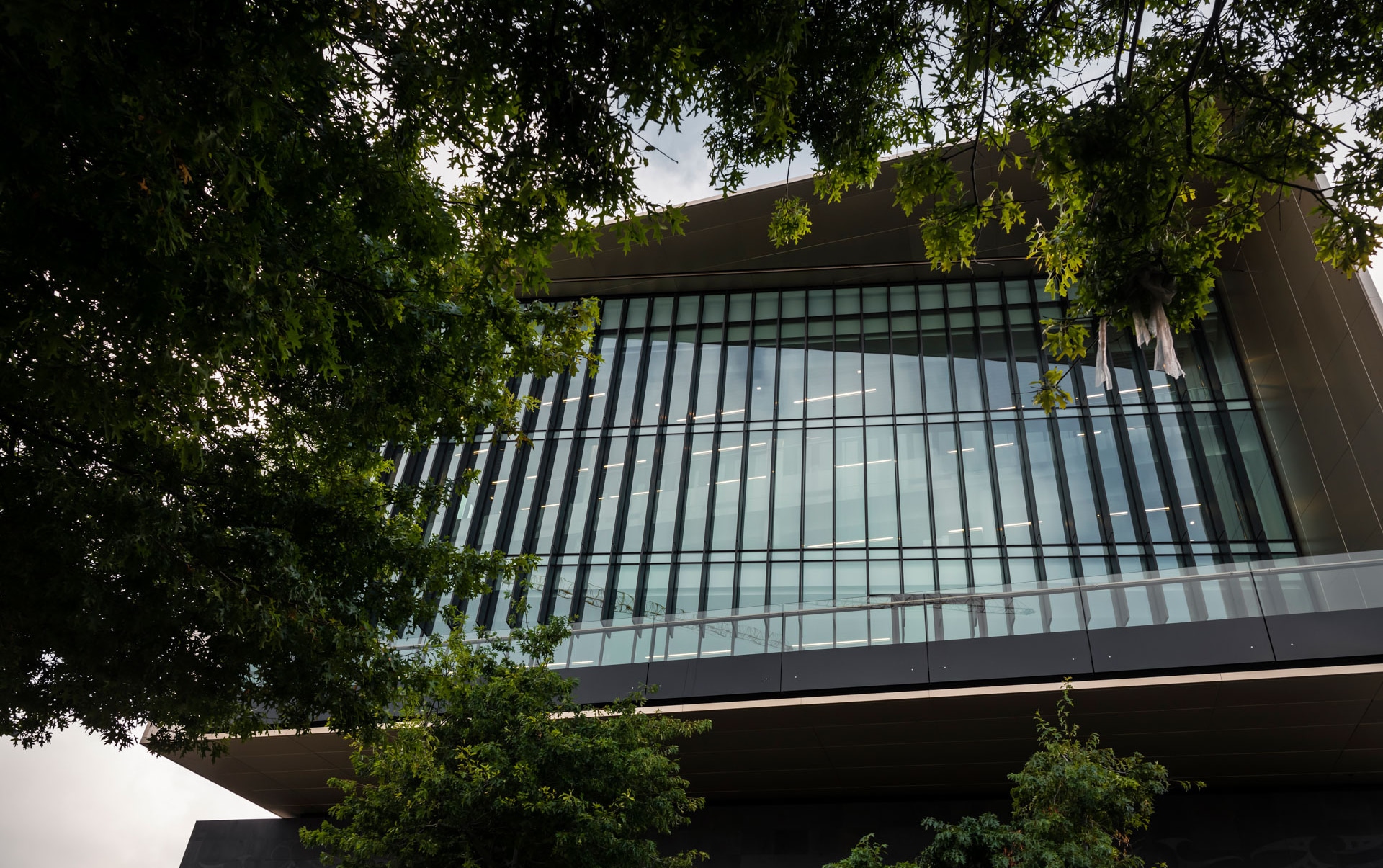 CPA Chch Central Library 28